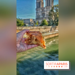 Shakespeare and Company, le café-librairie le plus anglais de Paris