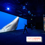 Photos : Odyssée sensorielle, l’expo immersive au Museum 