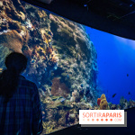 Photos : Odyssée sensorielle, l’expo immersive au Museum 