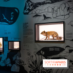 Photos : Odyssée sensorielle, l’expo immersive au Museum 