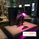 Photos : Odyssée sensorielle, l’expo immersive au Museum 