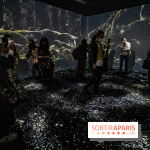 Photos : Odyssée sensorielle, l’expo immersive au Museum 