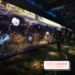 Photos : Odyssée sensorielle, l’expo immersive au Museum 