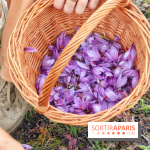 Des ateliers hors du temps pour cultiver le safran sur les toits de Paris