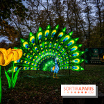 Thoiry Lumières Sauvages 2021-2022