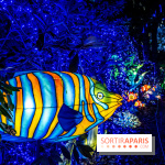 Thoiry Lumières Sauvages 2021-2022