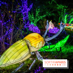 Thoiry Lumières Sauvages 2021-2022