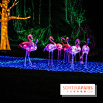 Thoiry Lumières Sauvages 2021-2022