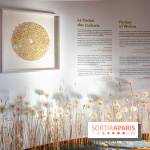 Le Musée Guimet propose une Carte blanche à Duy Anh Nhan Duc