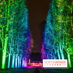 Lumières en Seine, les photos du parcours féérique 