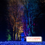 Lumières en Seine, les photos du parcours féérique 