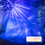 Lumières en Seine, les photos du parcours féérique 