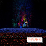 Lumières en Seine, les photos du parcours féérique 