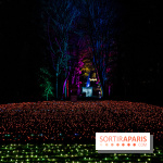 Lumières en Seine, les photos du parcours féérique 