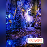 Vaux-le-Vicomte en lumières pour Noël : fêtez les 400 ans de Jean de la Fontaine