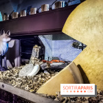 Vaux-le-Vicomte en lumières pour Noël : fêtez les 400 ans de Jean de la Fontaine