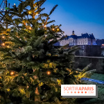 Vaux-le-Vicomte en lumières pour Noël : fêtez les 400 ans de Jean de la Fontaine