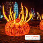 Festival des lumières du Jardin des Plantes 2021, l'Evolution en voie d'illumination - nos photos