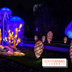 Festival des lumières du Jardin des Plantes 2021, l'Evolution en voie d'illumination - nos photos