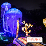 Festival des lumières du Jardin des Plantes 2021, l'Evolution en voie d'illumination - nos photos