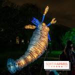 Festival des lumières du Jardin des Plantes 2021, l'Evolution en voie d'illumination - nos photos