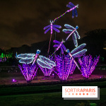 Festival des lumières du Jardin des Plantes 2021, l'Evolution en voie d'illumination - nos photos