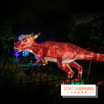 Festival des lumières du Jardin des Plantes 2021, l'Evolution en voie d'illumination - nos photos