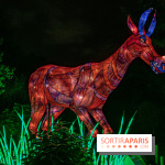 Festival des lumières du Jardin des Plantes 2021, l'Evolution en voie d'illumination - nos photos