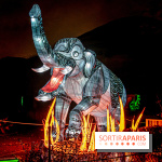 Festival des lumières du Jardin des Plantes 2021, l'Evolution en voie d'illumination - nos photos