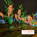 Festival des lumières du Jardin des Plantes 2021, l'Evolution en voie d'illumination - nos photos