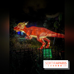Festival des lumières du Jardin des Plantes 2021, l'Evolution en voie d'illumination - nos photos