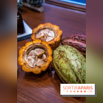 La Bûche de Noël de la Reine Astrid au mucilage 