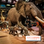 Visuels musée et monument intérieur muséum histoire naturelle