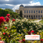 Visuels musée et monument  - museum - jardin des plantes