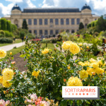 Visuels musée et monument - museum - jardin des plantes