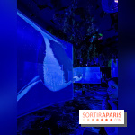 Ephemera, le premier restaurant immersif à Paris