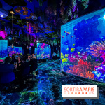 Ephemera, le premier restaurant immersif à Paris