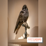 Delacroix et la nature, nos photos de l'exposition au musée Delacroix