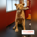 Delacroix et la nature, nos photos de l'exposition au musée Delacroix