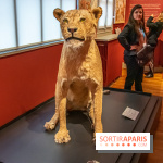 Delacroix et la nature, nos photos de l'exposition au musée Delacroix