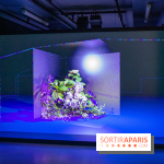 Aurea, nos photos de l'exposition-expérience de Sabrina Ratté à la Gaîté Lyrique