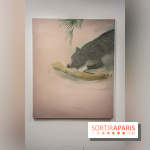 Exposition Xinyi Cheng à Lafayette Anticipations -  nos photos