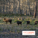 Le domaine du Chateau de Dampierre 