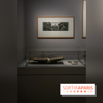 Photographies en Guerre, nos photos de l'exposition choc au Musée de l'Armée