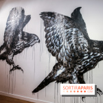 Incursions sauvages, nos photos