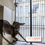 Incursions sauvages, nos photos