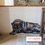 Incursions sauvages, nos photos