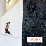 Incursions sauvages, nos photos