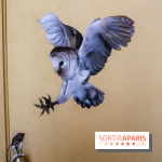 Incursions sauvages, nos photos