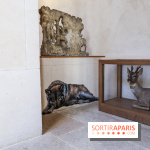 Incursions sauvages, nos photos